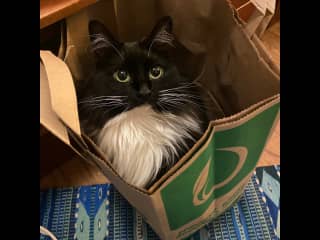 She loves paperbags, she's a cheap date.