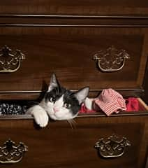 Drawer comfort.