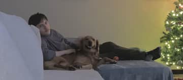 This sweet Golden was my shadow for 2 days till my son came up for rest of the sit, he immediately bonded to my teen son, I was jealous