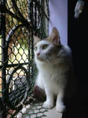 In our home in Goa. She's pretty and she knows it !