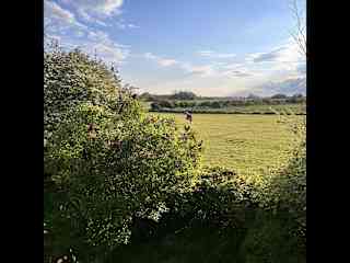 Field at the back of the house