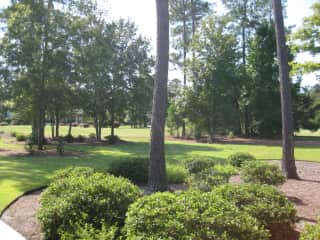 View from our patio to the yard and golf course