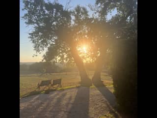 There’s lots of lovely walks and woodlands surrounding the property.
