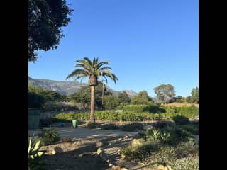 Mountain View from the front porch
