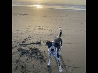 Chance at Fort Funston