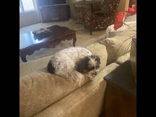 Teddy’s favorite spot