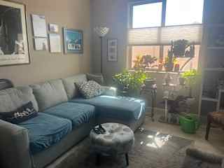 Den couch