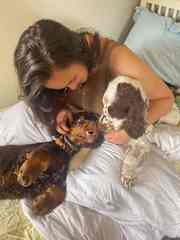 Brothers x