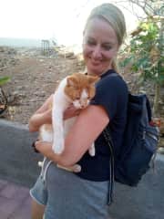 Affectionate cat on La Gomera