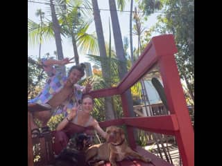 Breezy & Judd chilling in the sun at our pet sit in Venice Beach