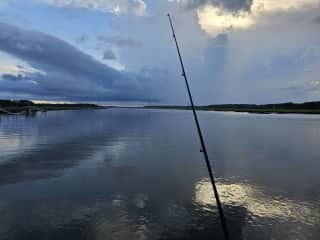 fishing pier (red drum/black drum, small shark, blue crab, stingray, croaker etc...).
