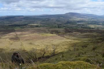 Watching Peregrine Falcons on the mountain above our home.