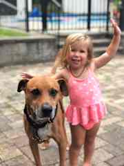 Reggie with a sweet dog at a sit in New York.