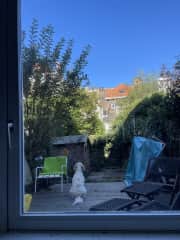 Marsha enjoying the garden
