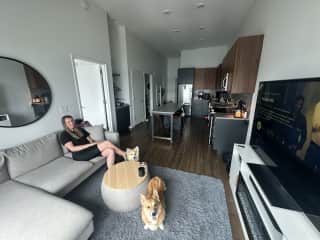 Living room / kitchen area