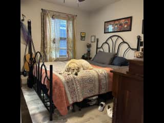 Master Bedroom Available for Sitter