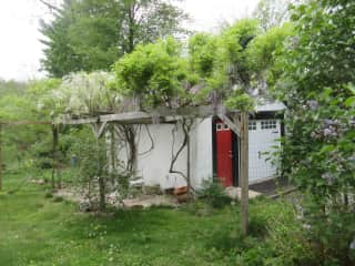 Garage with wisteria