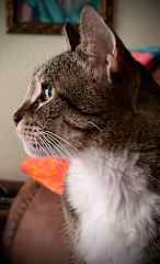 On alert