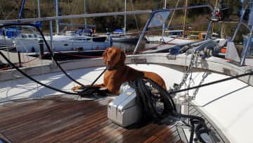 Digby, the sailor