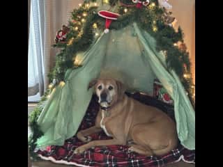 Looking forward to Christmas!