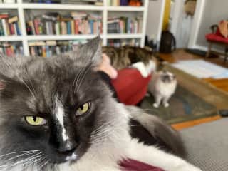 Pay attention to ME!