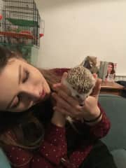 Zuzanna looking after a friends hedgehog.