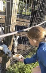 We love to have animals around, especially the kids