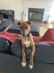 Always looking for love.