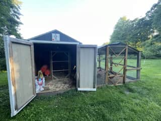 Chicken Coop