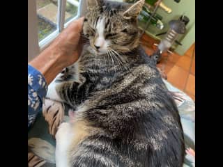 And of course some petting …..