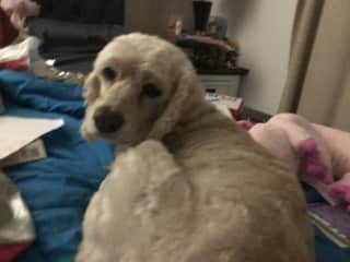 Ellie