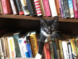 Quinn also likes books