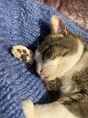 And I also love soft wool