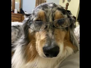 Naga being studious