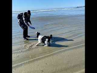 Playing on the beach in Tofino- was not to sure about the waves - 1st time tasting salt water