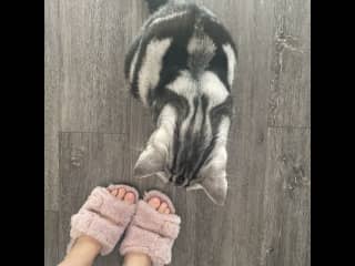 Approving my slippers