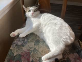 When I want a little sun, I will warm myself here.
