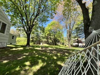 Huge Backyard