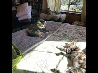 Momala with her baby, Squeaker