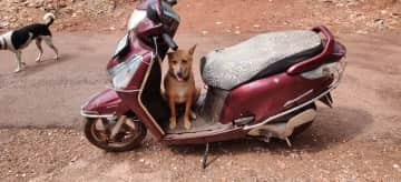 Vesino waiting for me on the bike