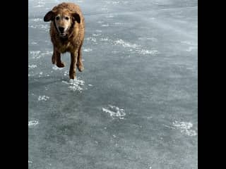 Airborne on Ice