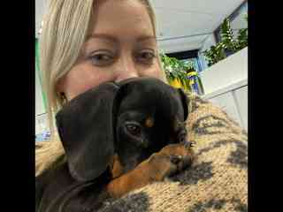 This is Willy, the office puppy at my old job.