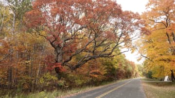 Road in Fall leading to house