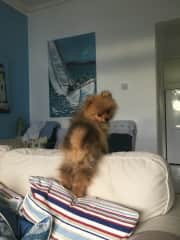 Give me a wee hand up mum ….. please