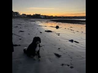 At the beach in Skerries north of Dublin visiting my Auntie and cousin.