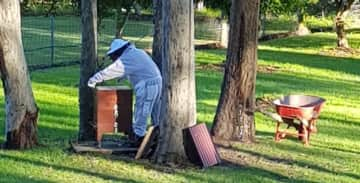 Trevor- registered bee keeper