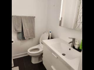 Main bathroom with bidet, tub and shower.