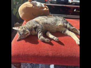Sunbath