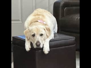 This is my ottoman