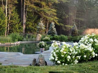 Natural swimming pool